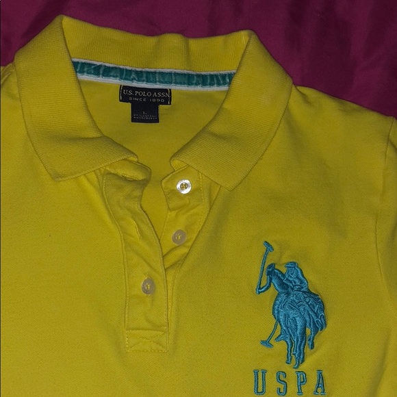 Collared Shirt - Picture 3 of 4